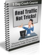 RealTrafficNotTricks_plr